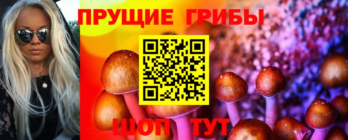 Псилоцибиновые грибы Magic Shrooms Хасавюрт