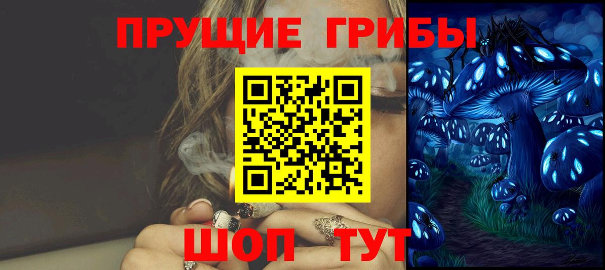Псилоцибиновые грибы Psilocybe  Вход с VPN  Псилоцибиновые грибы мухоморы  Хасавюрт 